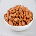 low price pine nut kernels